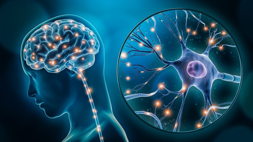 Brain Protection