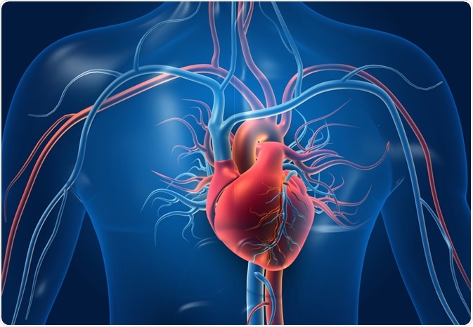 Heart Protection